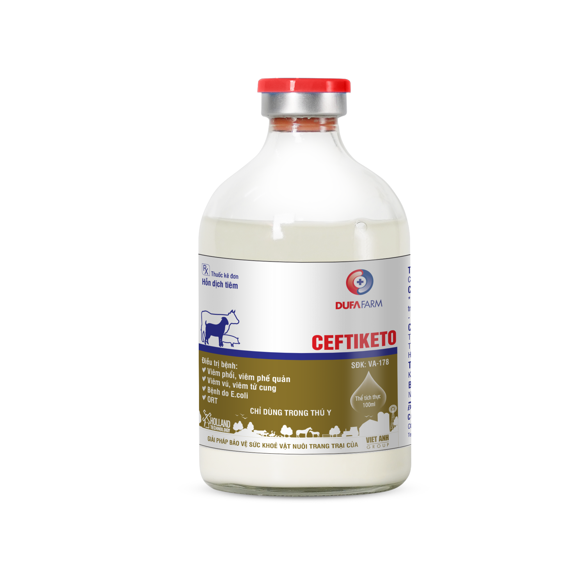 CEFTIKETO 100ml