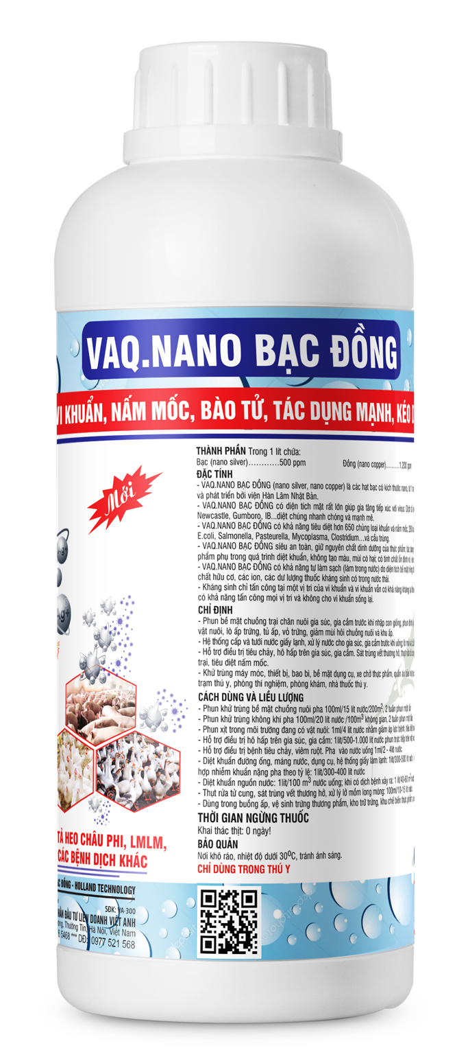 VAQ.NANO BẠC ĐỒNG