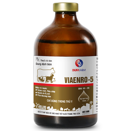 VIAENRO-5