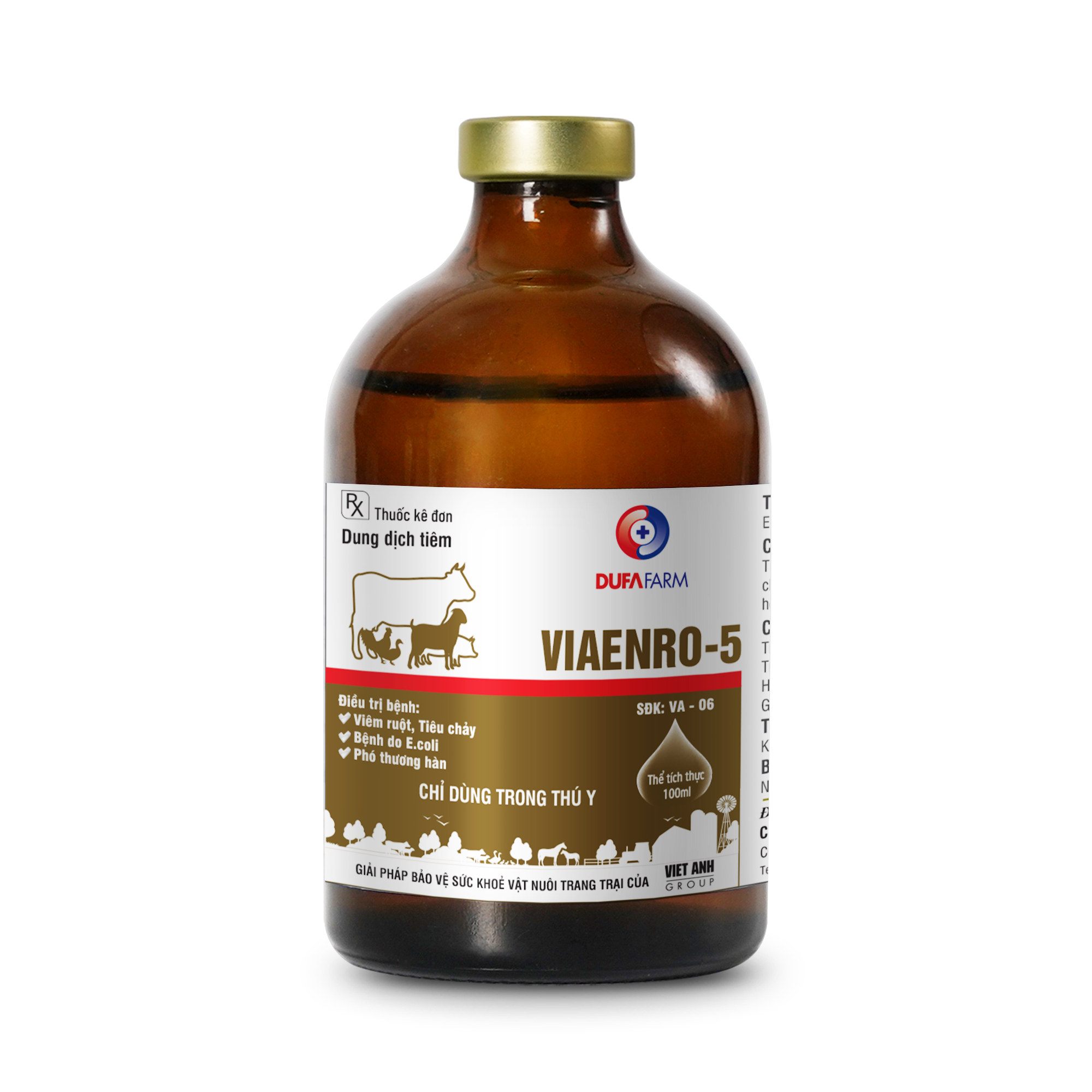VIAENRO-5
