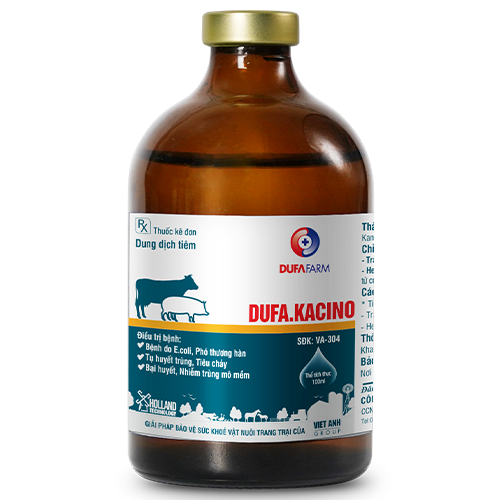 DUFA.KACINO