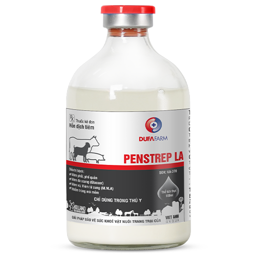 PENSTREP LA