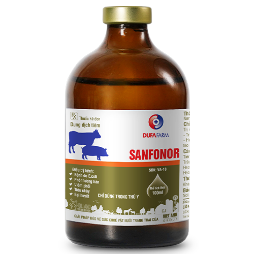 SANFONOR