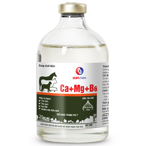 Ca+Mg+B6