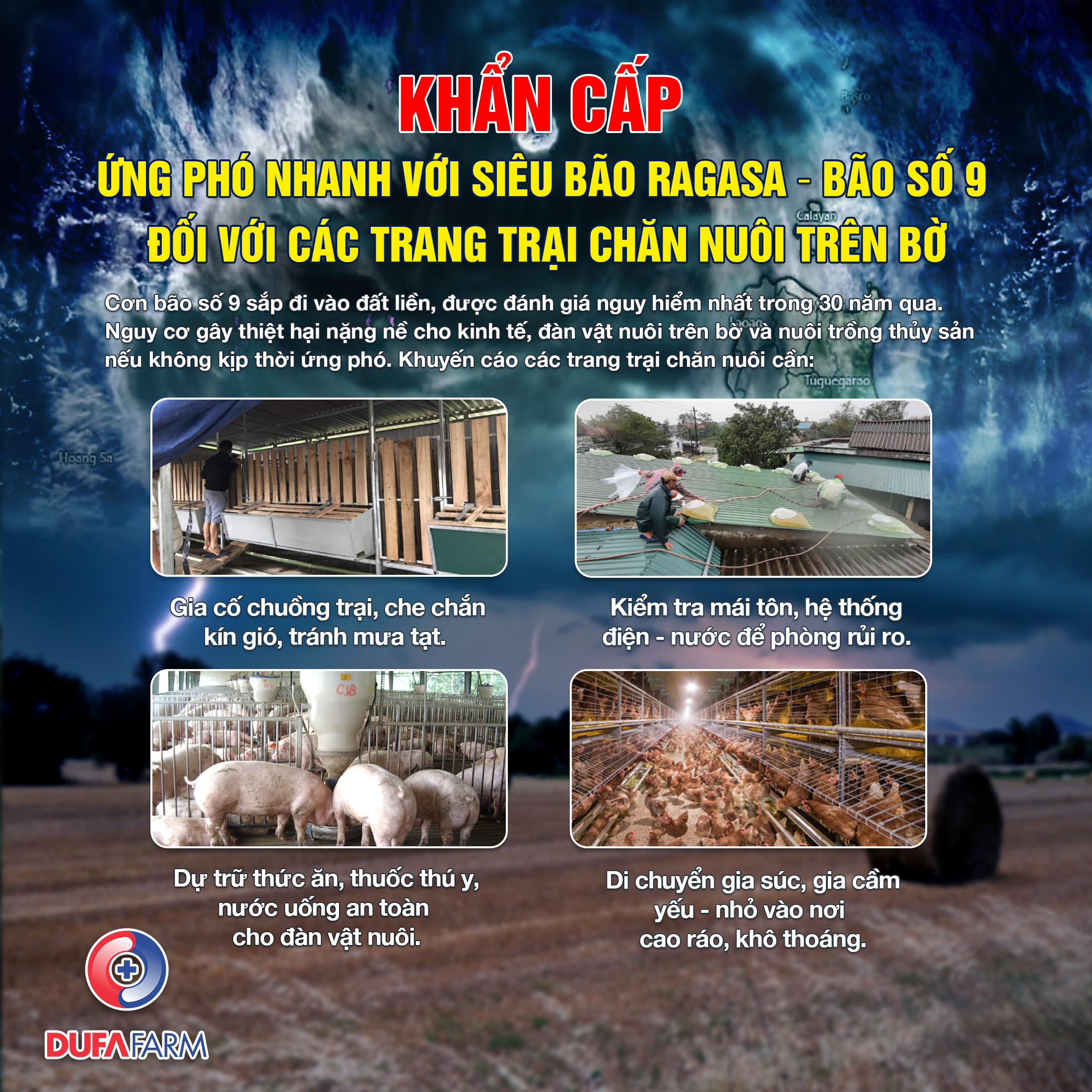 Biện pháp ứng phó nhanh với bão cho các trang trại chăn nuôi
