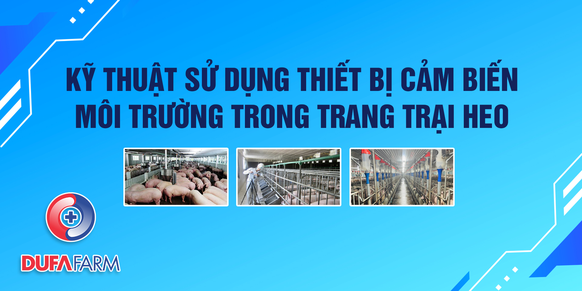 Lợi ích từ việc sử dụng thiết bị cảm biến môi trường cho trang trại heo