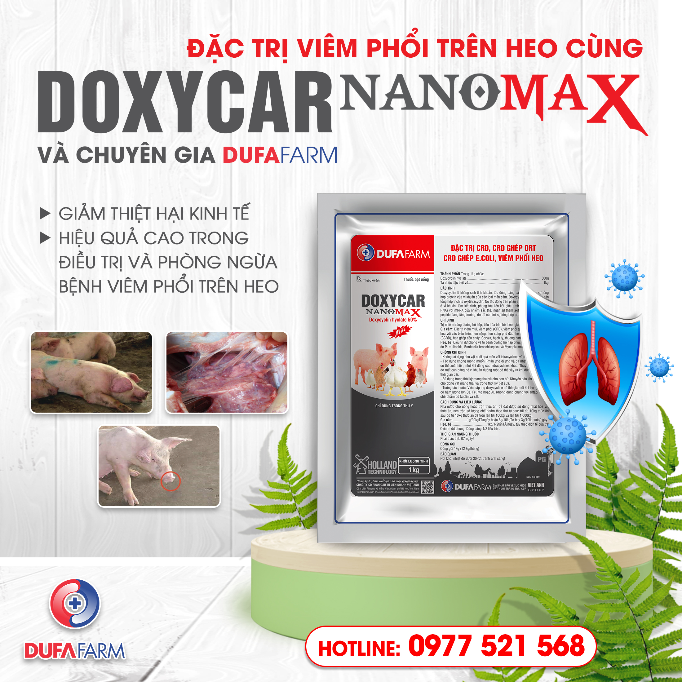 NHẬN BIẾT NGUY HIỂM BỆNH VIÊM PHỔI HEO VÀ CÁCH PHÒNG