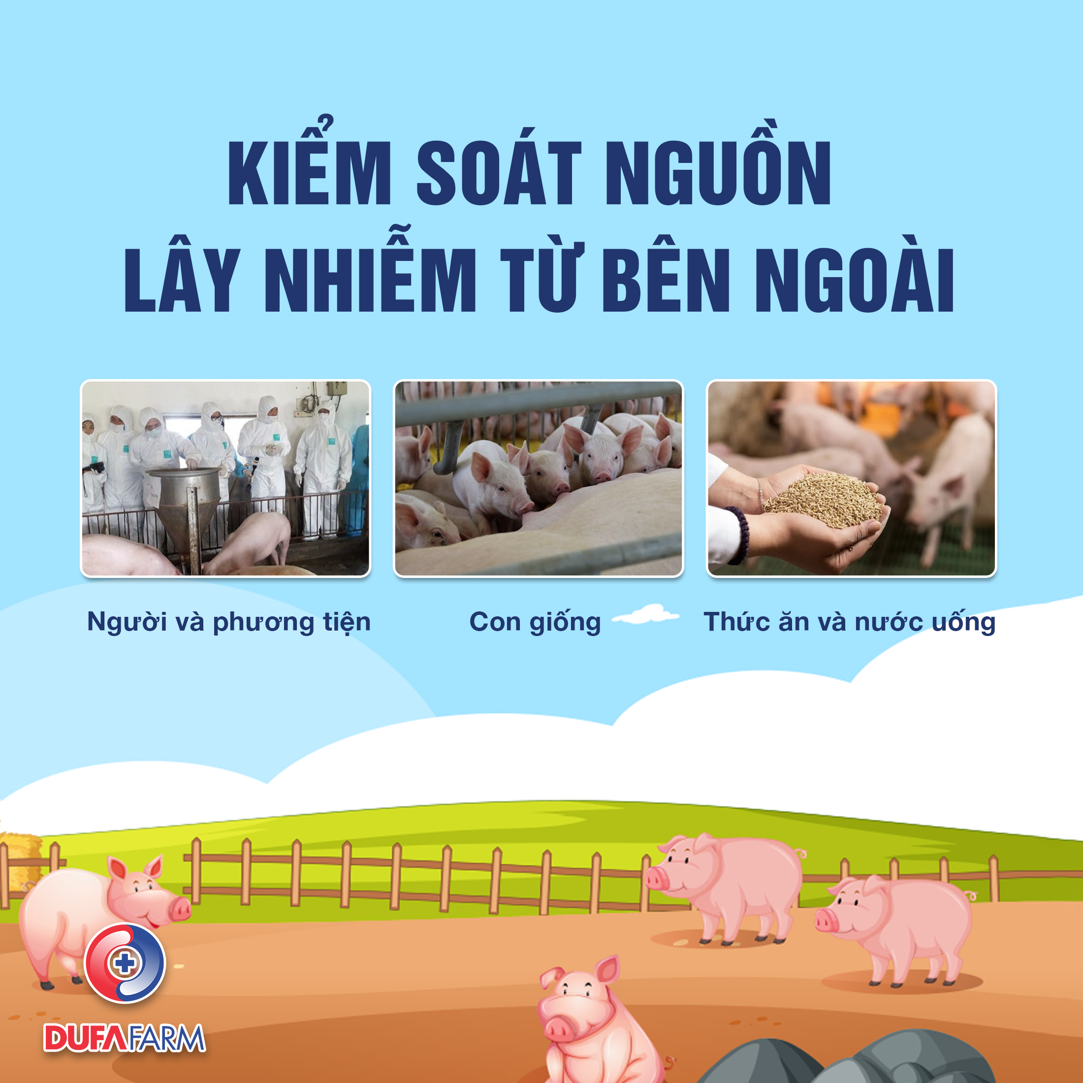 CHĂN NUÔI HEO THEO HƯỚNG AN TOÀN SINH HỌC