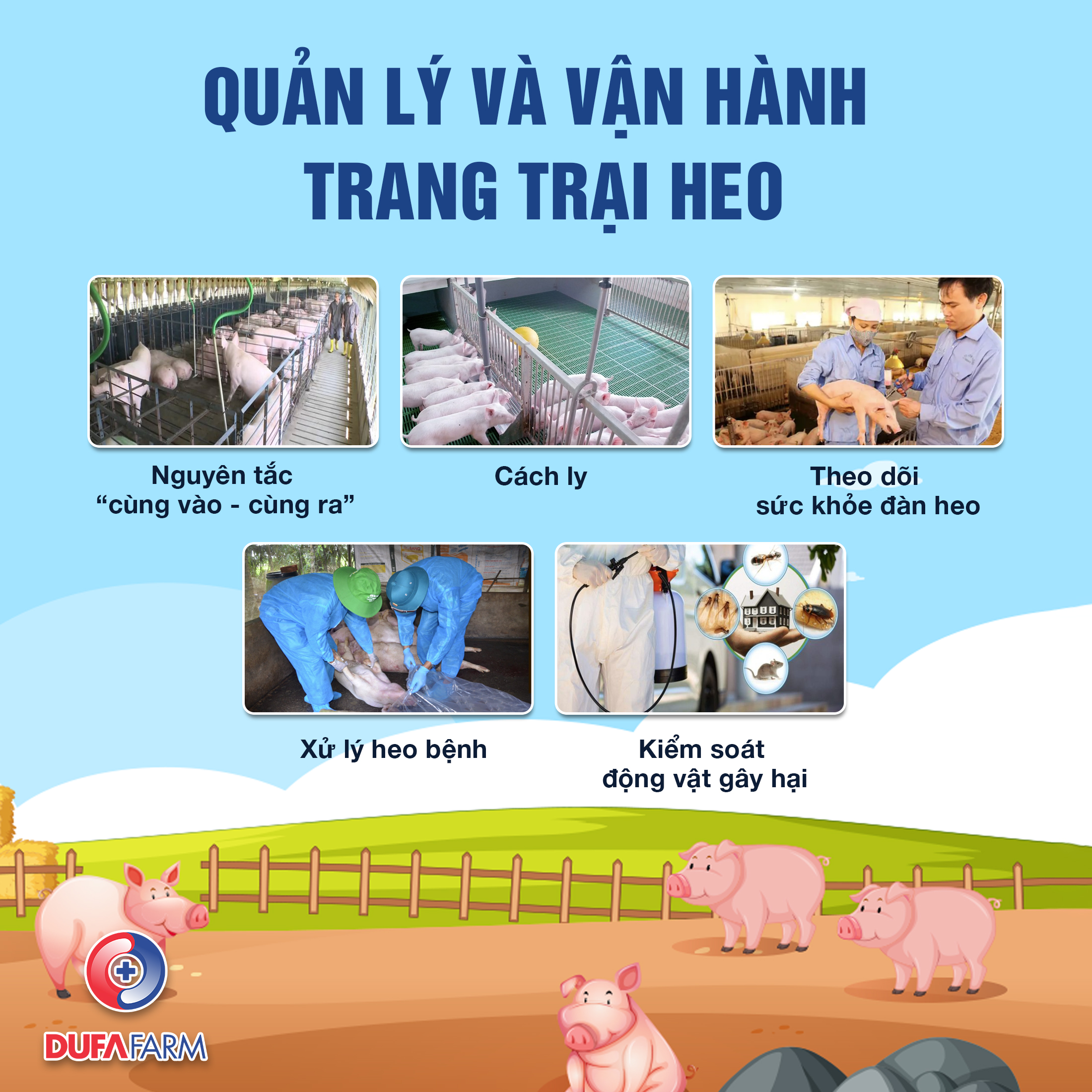 CHĂN NUÔI HEO THEO HƯỚNG AN TOÀN SINH HỌC