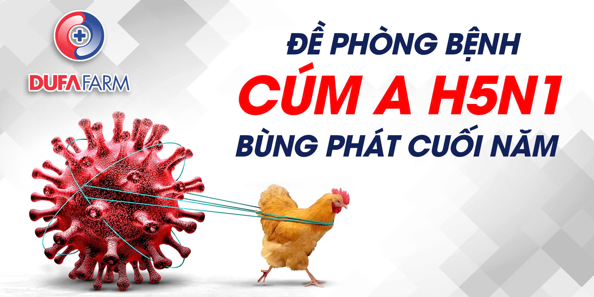 BIỆN PHÁP PHÒNG DỊCH CÚM GIA CẦM ĐỘC LỰC CAO CUỐI NĂM 2025