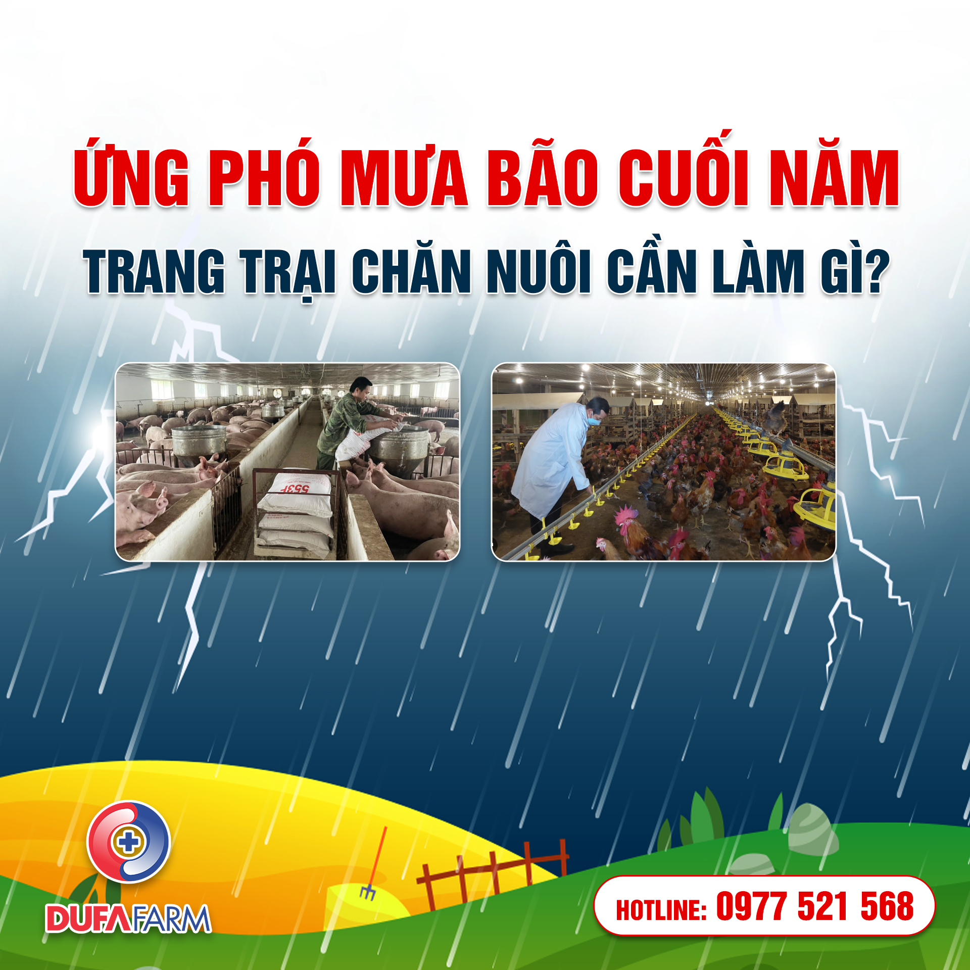 ỨNG PHÓ MÙA MƯA BÃO: TRANG TRẠI CHĂN NUÔI CẦN LÀM GÌ ĐỂ BẢO VỆ VẬT NUÔI?