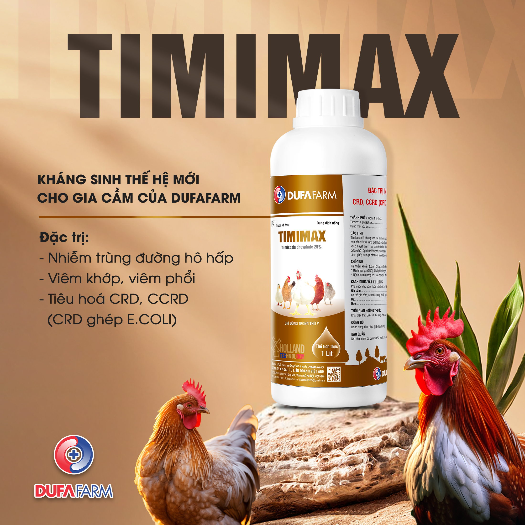 VÌ SAO GIA CẦM DỄ MẮC BỆNH VIÊM KHỚP, VIÊM PHỔI VÀO MÙA ĐÔNG?