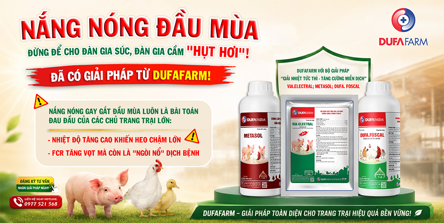 RA MẮT BỘ SẢN PHẨM CHỐNG NÓNG CHO ĐÀN GIA SÚC, GIA CẦM