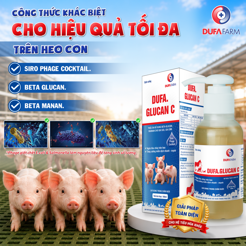 Viêm ruột, tiêu chảy do E. coli và Salmonella trên heo